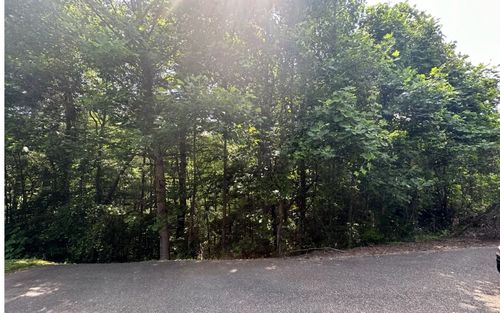  Lot 6 Ovaline Trail, Ellijay, GA, 30536 | Card Image