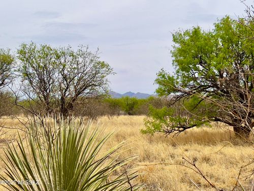 00 Yucca Ash Farm Road, Sonoita, AZ, 85637 | Card Image