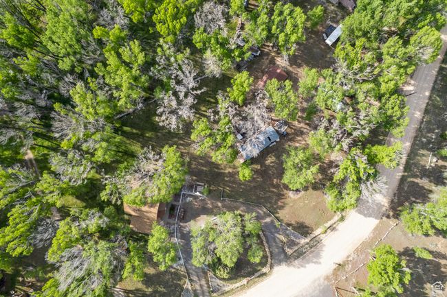Bird's eye view | Image 58