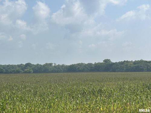 000 E 600 N Road, Kilbourne, IL, 62655 | Card Image