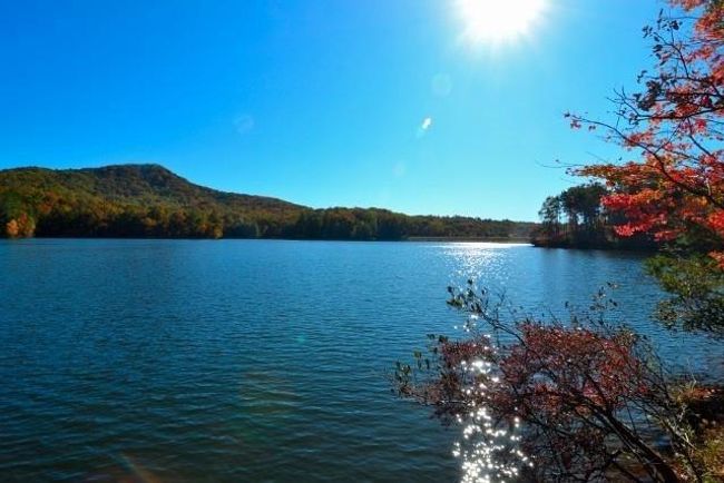 222 Mulligan Way, House other with 3 bedrooms, 3 bathrooms and null parking in Jasper GA | Image 65