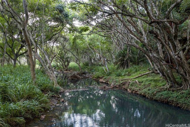 LOT-35 - 0000 Kamehameha Hwy, Home with 0 bedrooms, 0 bathrooms and null parking in Haleiwa HI | Image 18