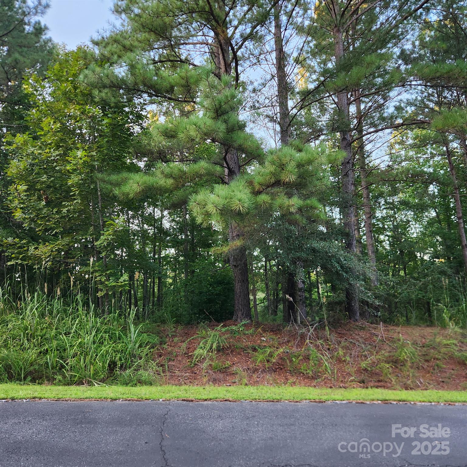 Land in Mooresboro 3