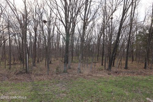 TBD County Road 144, WILLIAMSBURG, MO, 63388 | Card Image