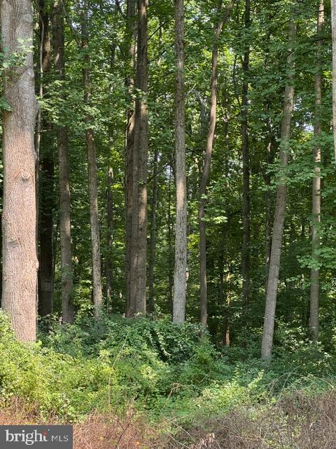 Land in SYKESVILLE 3