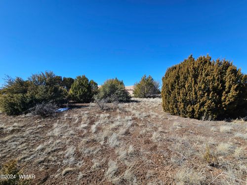 1968 Ridge Way Dr, Show Low, AZ, 85901-7062 | Card Image
