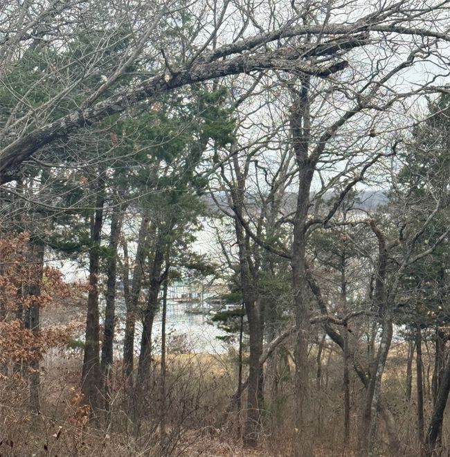 View of lake from the patio | Image 37