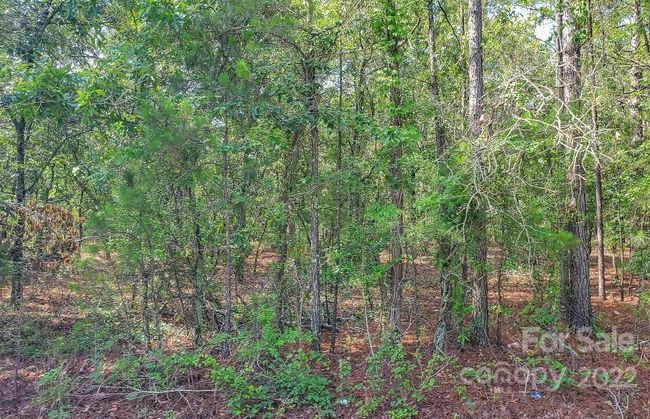 1915 Koon Road, Home with 0 bedrooms, 0 bathrooms and null parking in Lugoff SC | Image 14