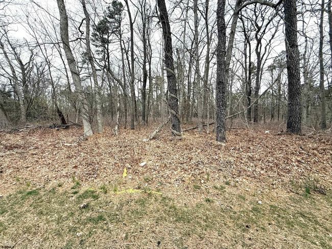 0 W White Horse Pike, Home with 0 bedrooms, 0 bathrooms and null parking in Absecon NJ | Image 6