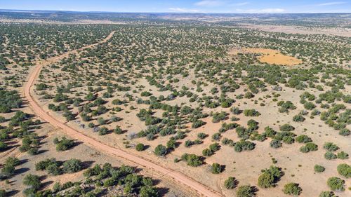 1779 Lost Saddle Loop, Santa Rosa, NM, 88435 | Card Image
