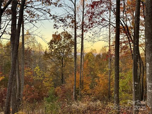 19 Meditation Ridge Dr, Nebo, NC, 28761 | Card Image