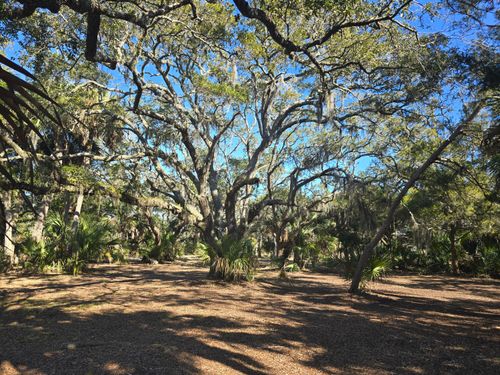 58 Painted Bunting Trl, Edisto Island, SC, 29438 | Card Image