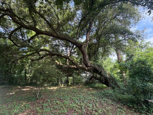 107 Lockhart St, Walterboro, SC, 29488-4481 | Card Image
