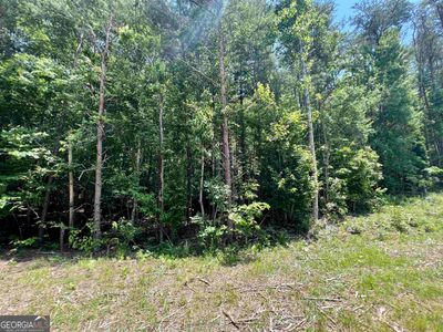 lot 5 Sautee Ridge Road, Home with 0 bedrooms, 0 bathrooms and null parking in Clarkesville GA | Image 3