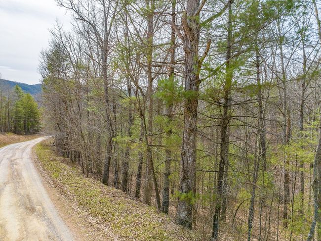 Lot12/14 Lake Forest Lane, Home with 0 bedrooms, 0 bathrooms and null parking in Bland VA | Image 27