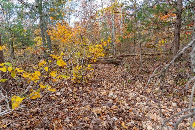 5 - 0 Highway Jj, Home with 0 bedrooms, 0 bathrooms and null parking in Marquand MO | Image 30