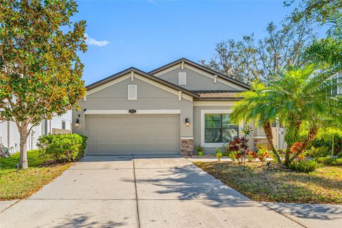11652 Palmetto Pine St, RIVERVIEW, FL, 33569-6224 | Card Image