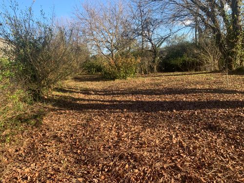 1487 American Greeting Card Rd, Corbin, KY, 40701-4813 | Card Image