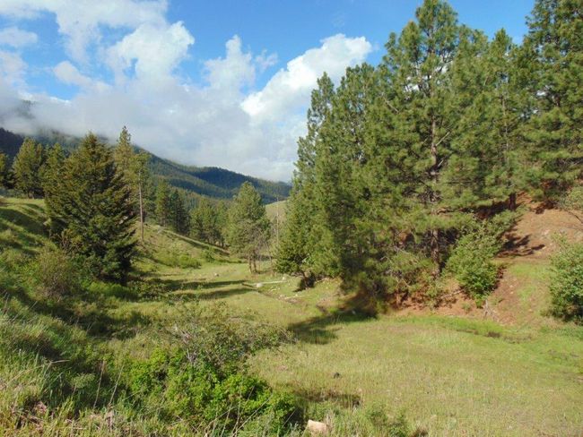 27235 Lazy Springs Rd, Home with 0 bedrooms, 0 bathrooms and null parking in Clinton MT | Image 54