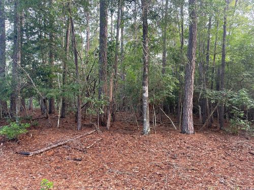 Lot 2 Buckeye St, Village Mills, TX, 77663 | Card Image