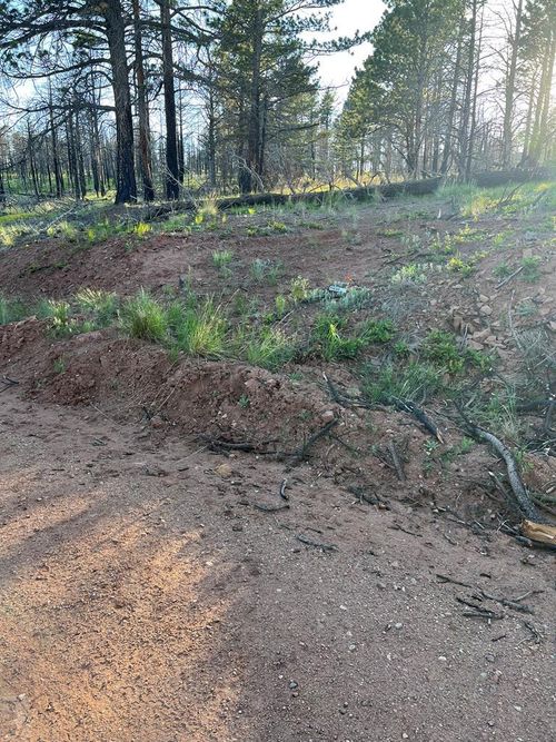 Lot 542 Forbes Pk, Fort Garland, CO, 81133 | Card Image