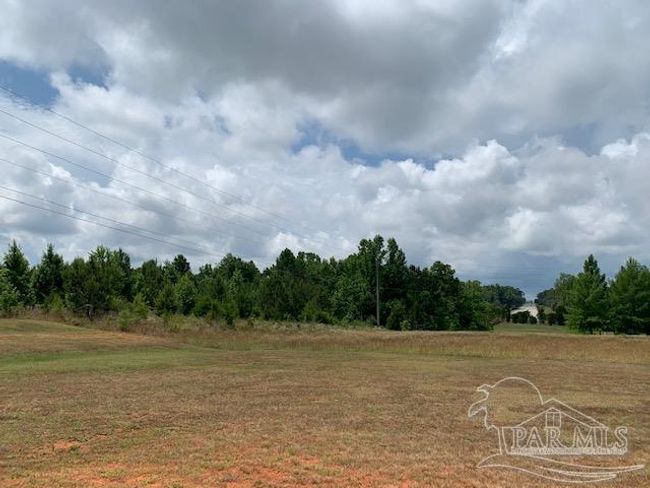 19600 Highway 43, Home with 0 bedrooms, 0 bathrooms and null parking in Grove Hill AL | Image 9