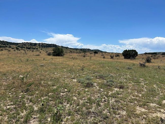 Lot 17 Longhorn Rd, Home with 0 bedrooms, 0 bathrooms and null parking in Model CO | Image 5