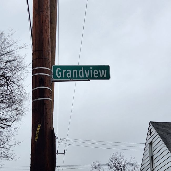 19207 Grandview St, Home with 0 bedrooms, 0 bathrooms and null parking in Detroit MI | Image 5