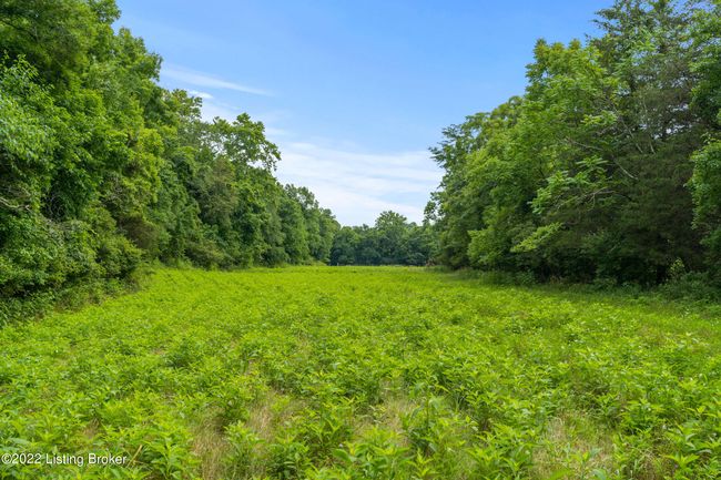 7903 Organ Creek Rd, Home with 0 bedrooms, 0 bathrooms and null parking in Pendleton KY | Image 16