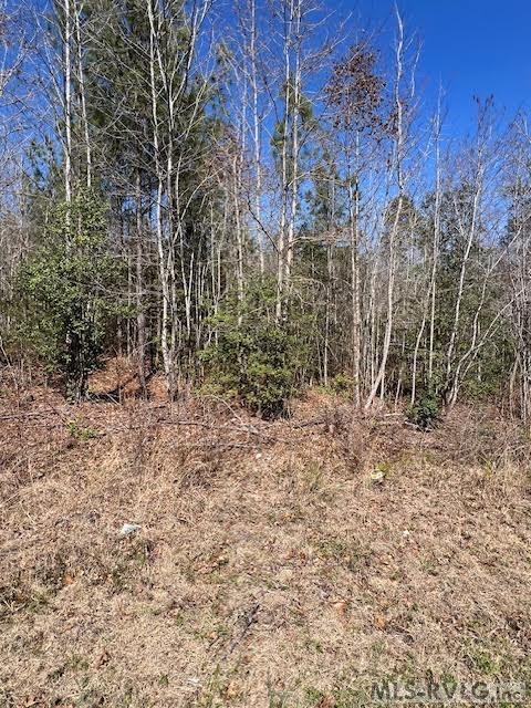 Land in Lawrenceville 2