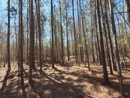 bhl-10-Bhl 10 Boise Cascade Rd, Bethune, SC, 29009 | Card Image