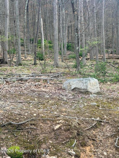 217 Muskegon Circle, Hazle Twp, PA, 18202 | Card Image