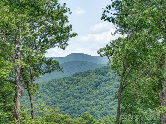 000 White Rock Branch Rd, Home with 0 bedrooms, 0 bathrooms and null parking in Candler NC | Image 15