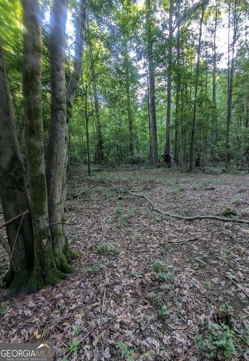4.2 +/-Acres River Road, Ellenwood, GA, 30294 | Card Image