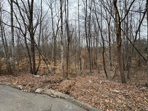 Lot 14 Stonewall Dr, Cookeville, TN, 38506 | Card Image