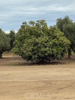Land in Merced 5