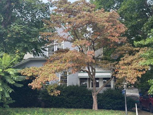 265 Crystal Ave, New London, CT, 06320-6508 | Card Image