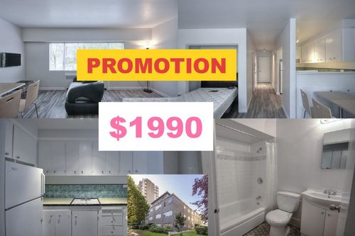 209-1540 Haro St, Vancouver, BC, V6G1G5 | Card Image
