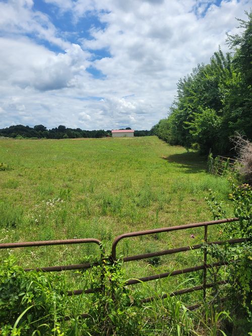 0 Midland Fosterville Rd, Bell Buckle, TN, 37020 | Card Image