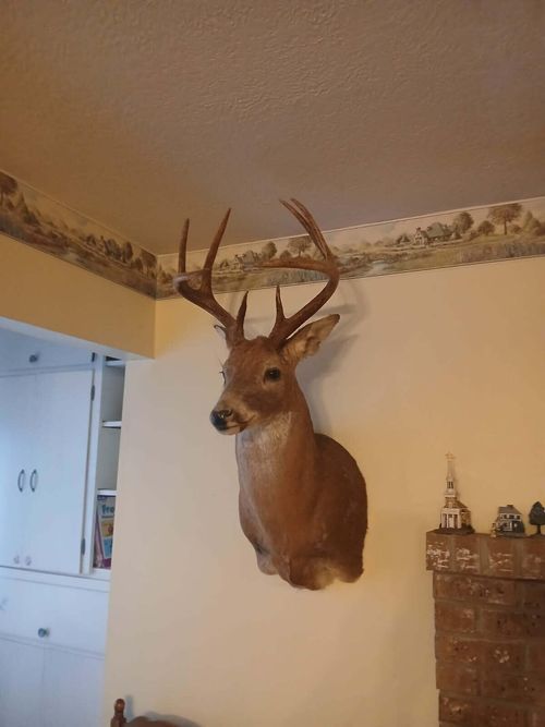 85-Ac Burmingham Rd, Forsyth, MO, 65653 | Card Image