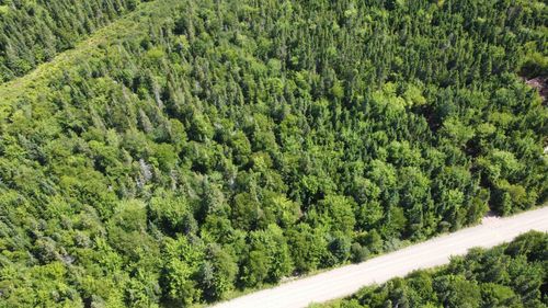 Lot 3 Calabash Rd, Boularderie Center, NS, B1X | Card Image
