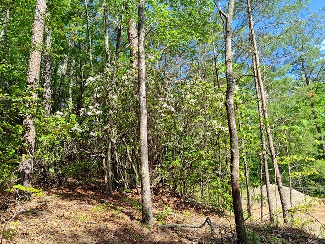 Lot 3 Megan Trace Ln, Home with 0 bedrooms, 0 bathrooms and null parking in Turtletown TN | Image 13