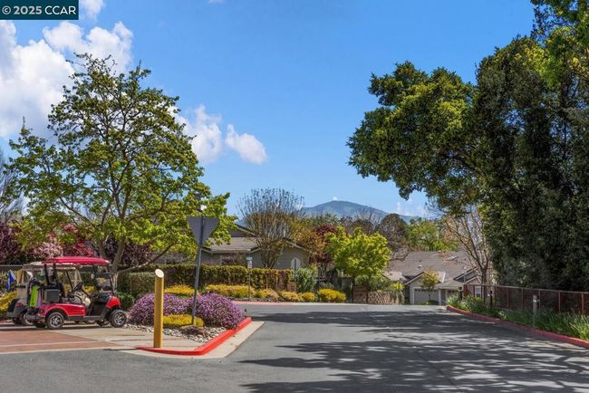 APT-2 - 1129 Leisure Ln, Condo with 2 bedrooms, 1 bathrooms and 1 parking in Walnut Creek CA | Image 59