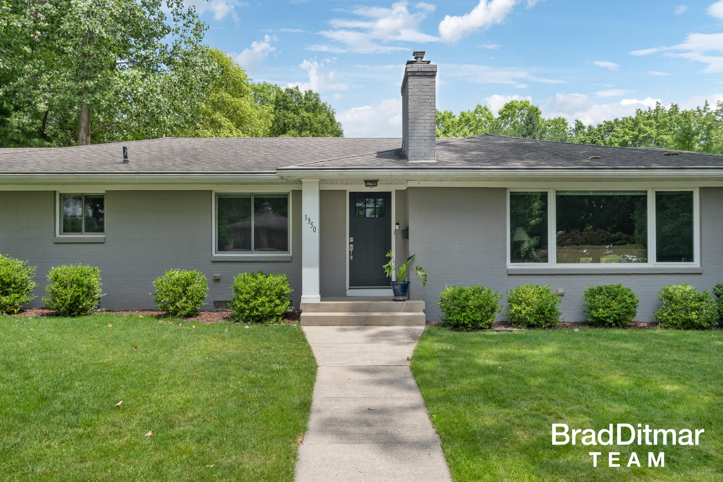 Residential in East Grand Rapids 2
