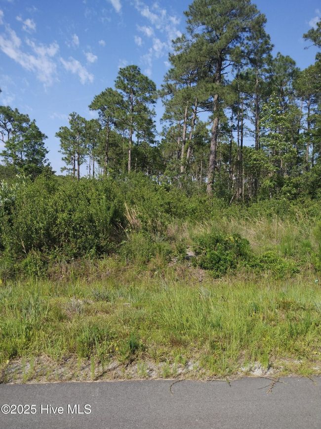 LOT ON FOX SQUIRREL AND WESTWAY RD | Image 5