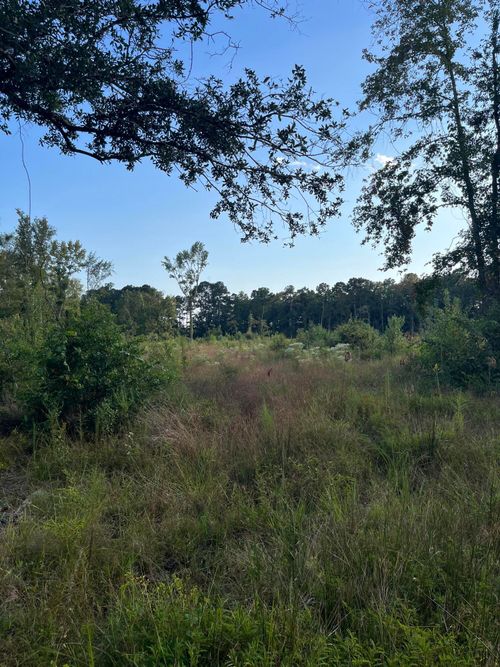 0 Yaremich Rd, Moncks Corner, SC, 29461 | Card Image