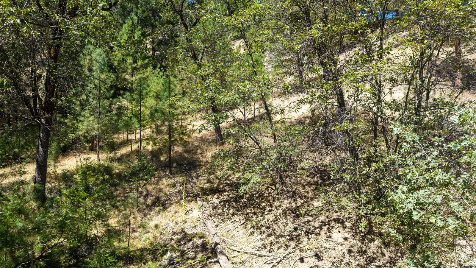 Land in Lewiston 3