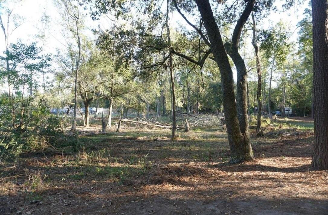 Land in Humble 5