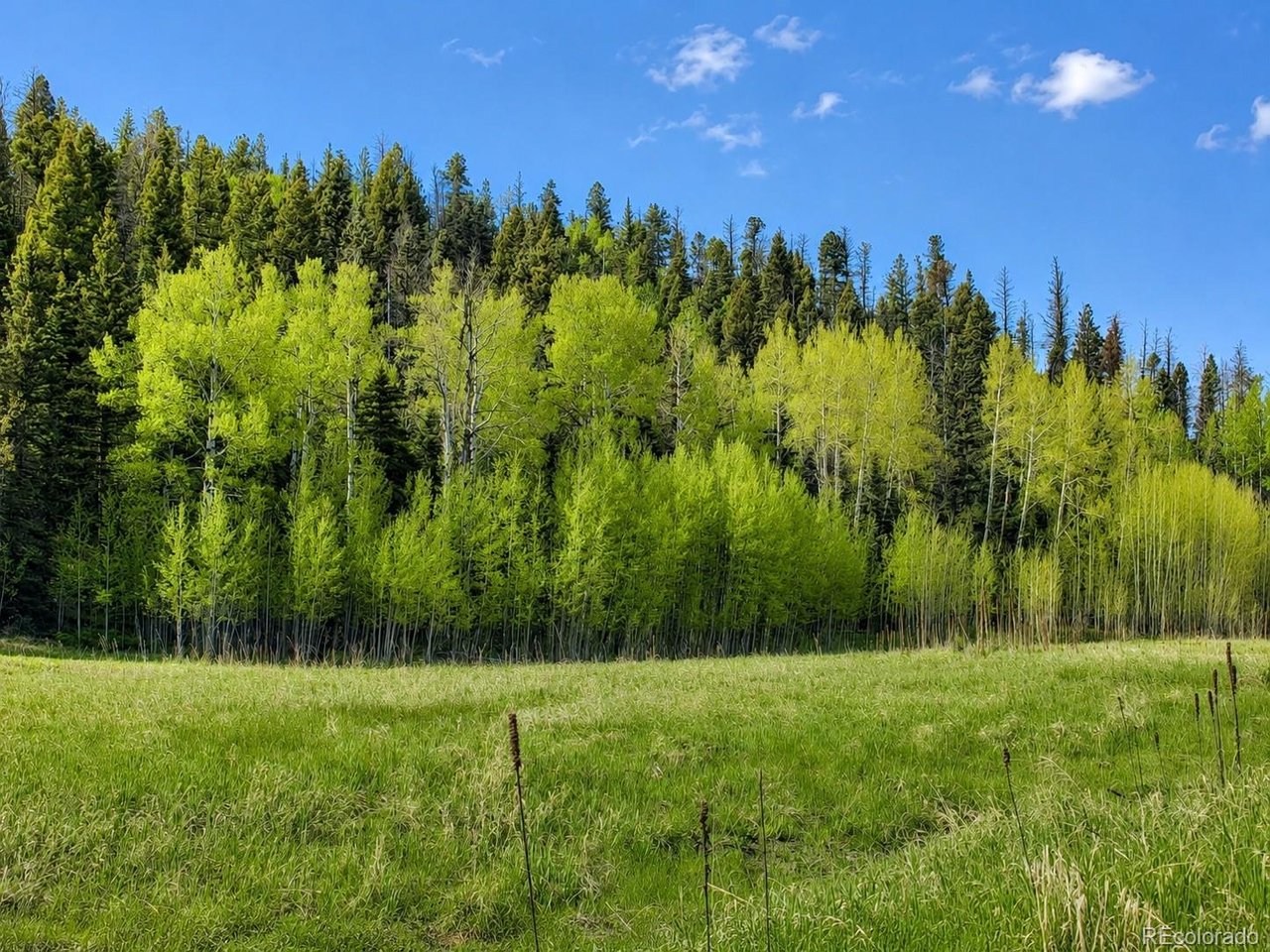 Land in Westcliffe 3