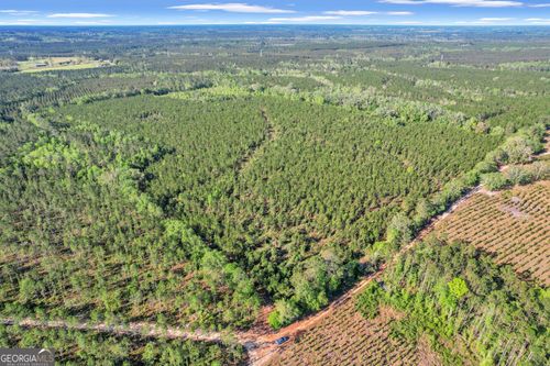 0 Mildred Bush Road, Surrency, GA, 31563 | Card Image